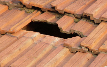 roof repair Silverdale Green, Lancashire